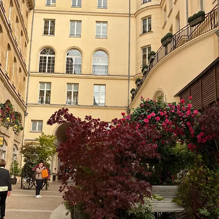Faubourg Saint Honore *